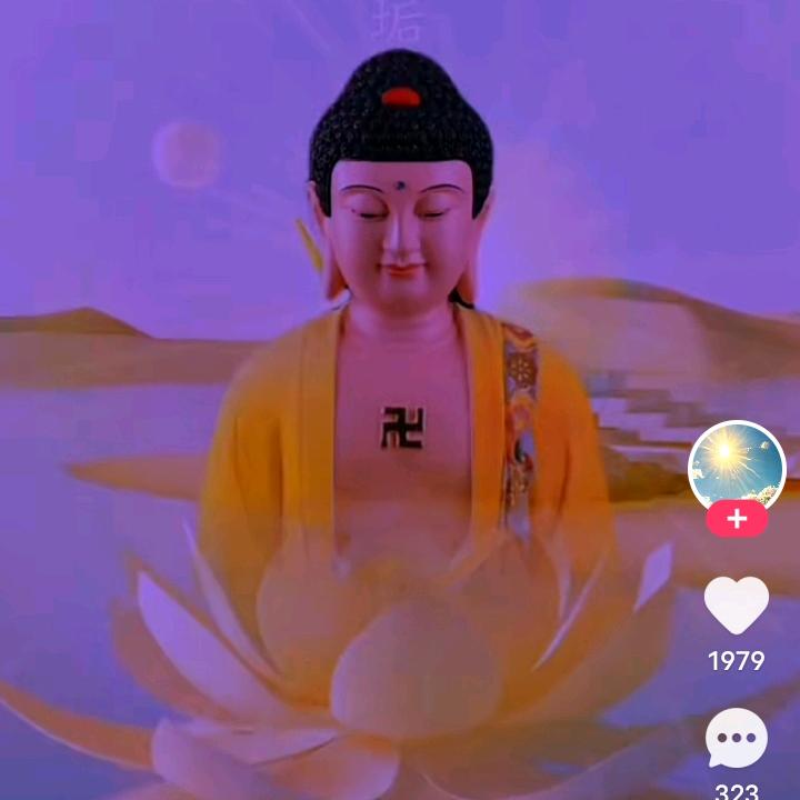 妙智行