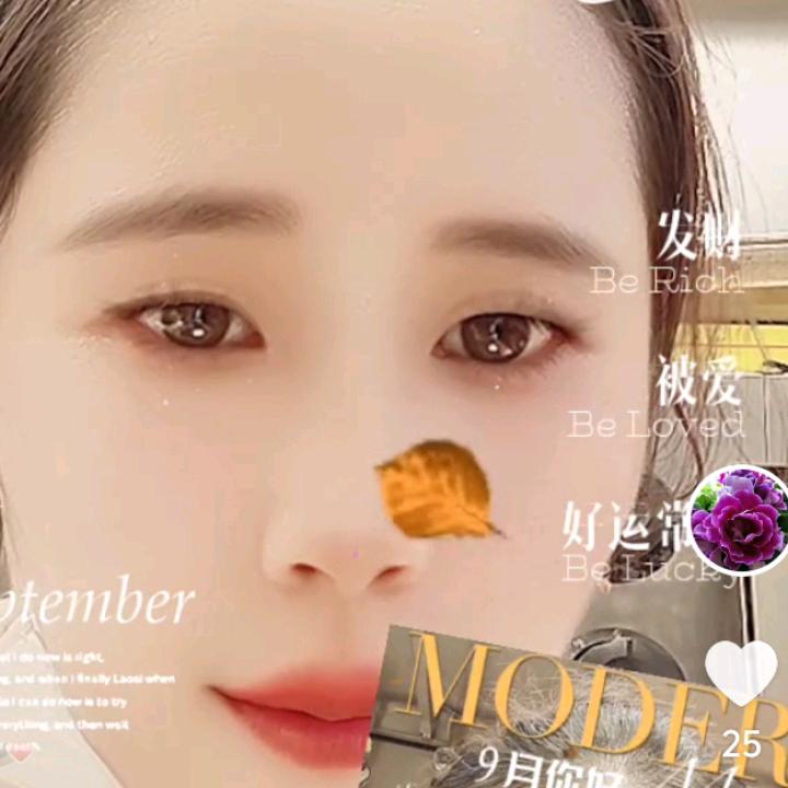 Zh燕子