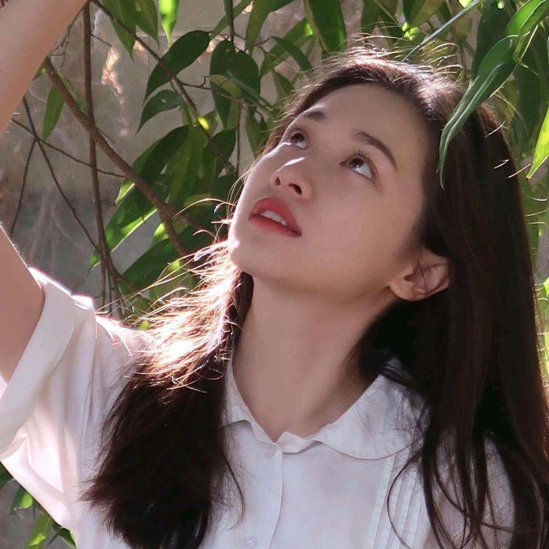 @海棠花