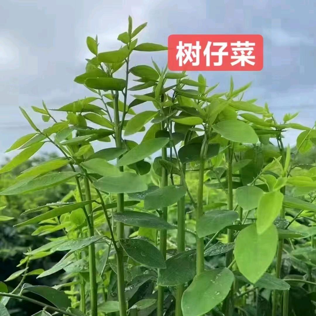 潮味阿辉