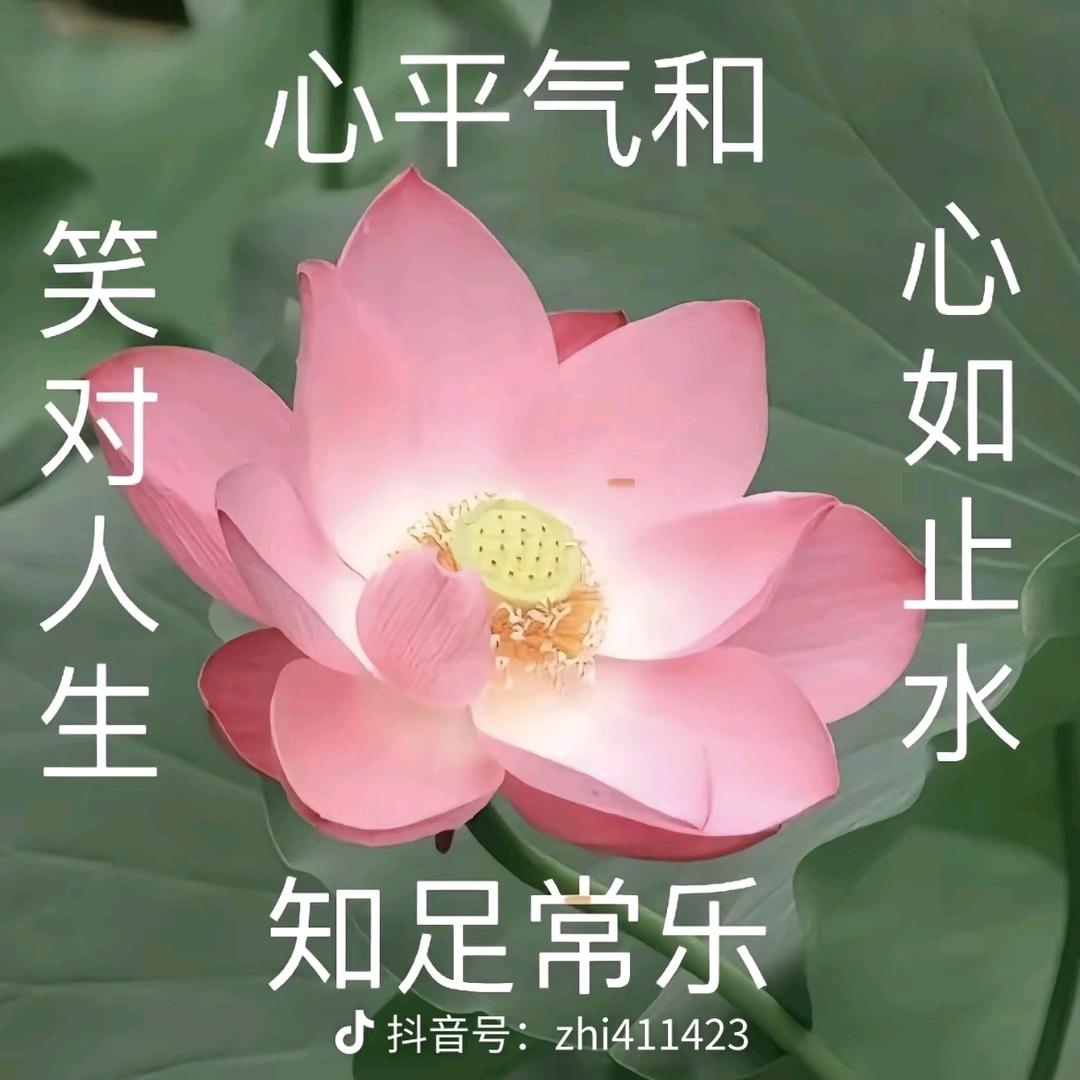 淡一场梦