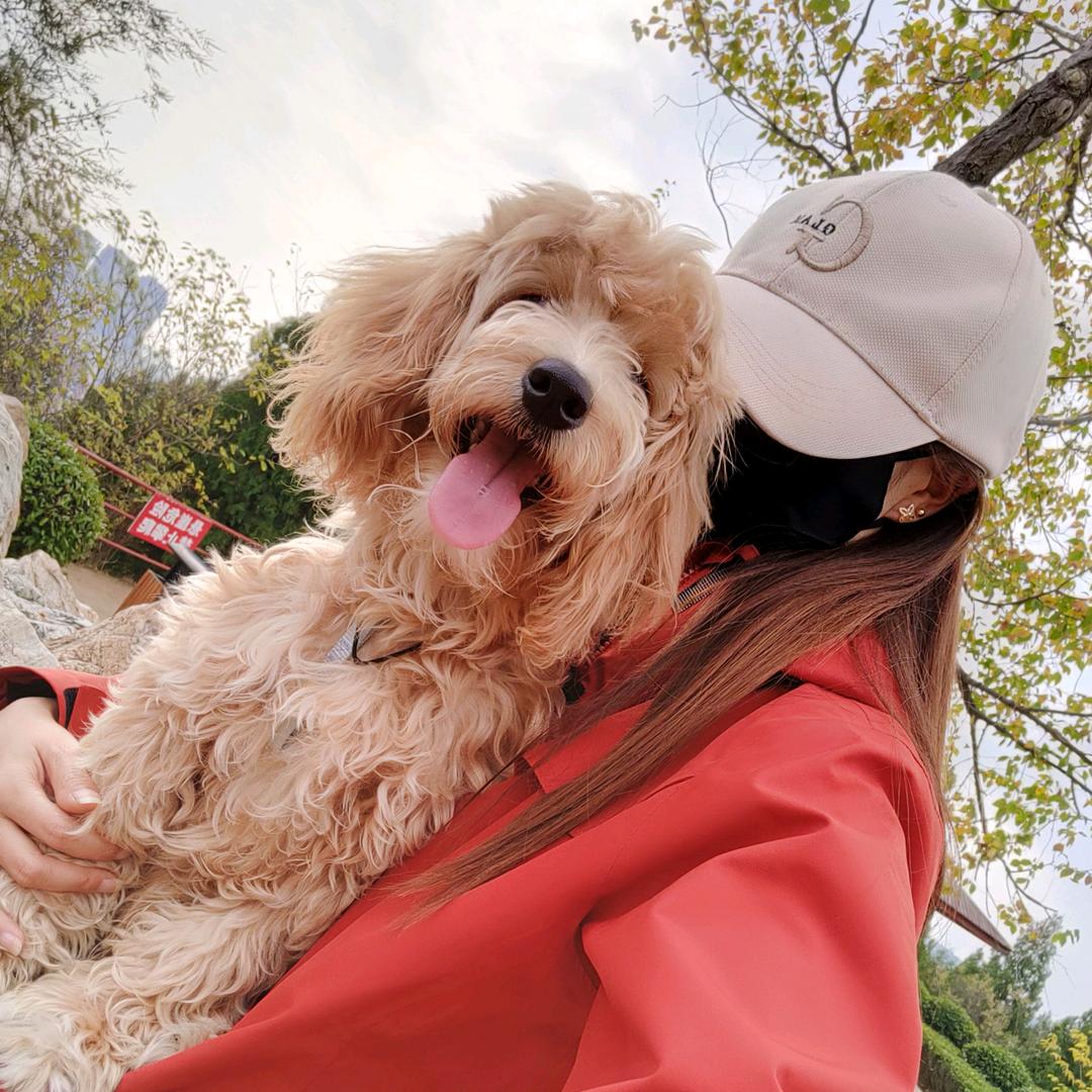毛毛奶奶