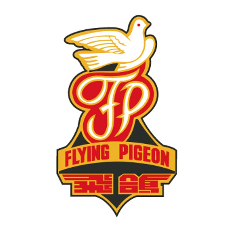 飞鸽新奇迹电动车专卖店