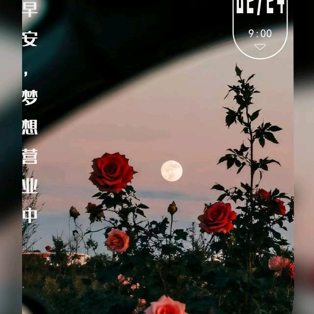 红尘(常用)