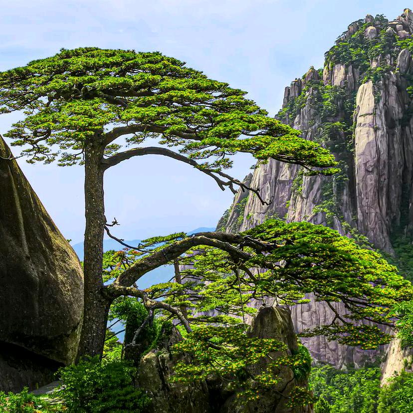 天下太平🇨🇳