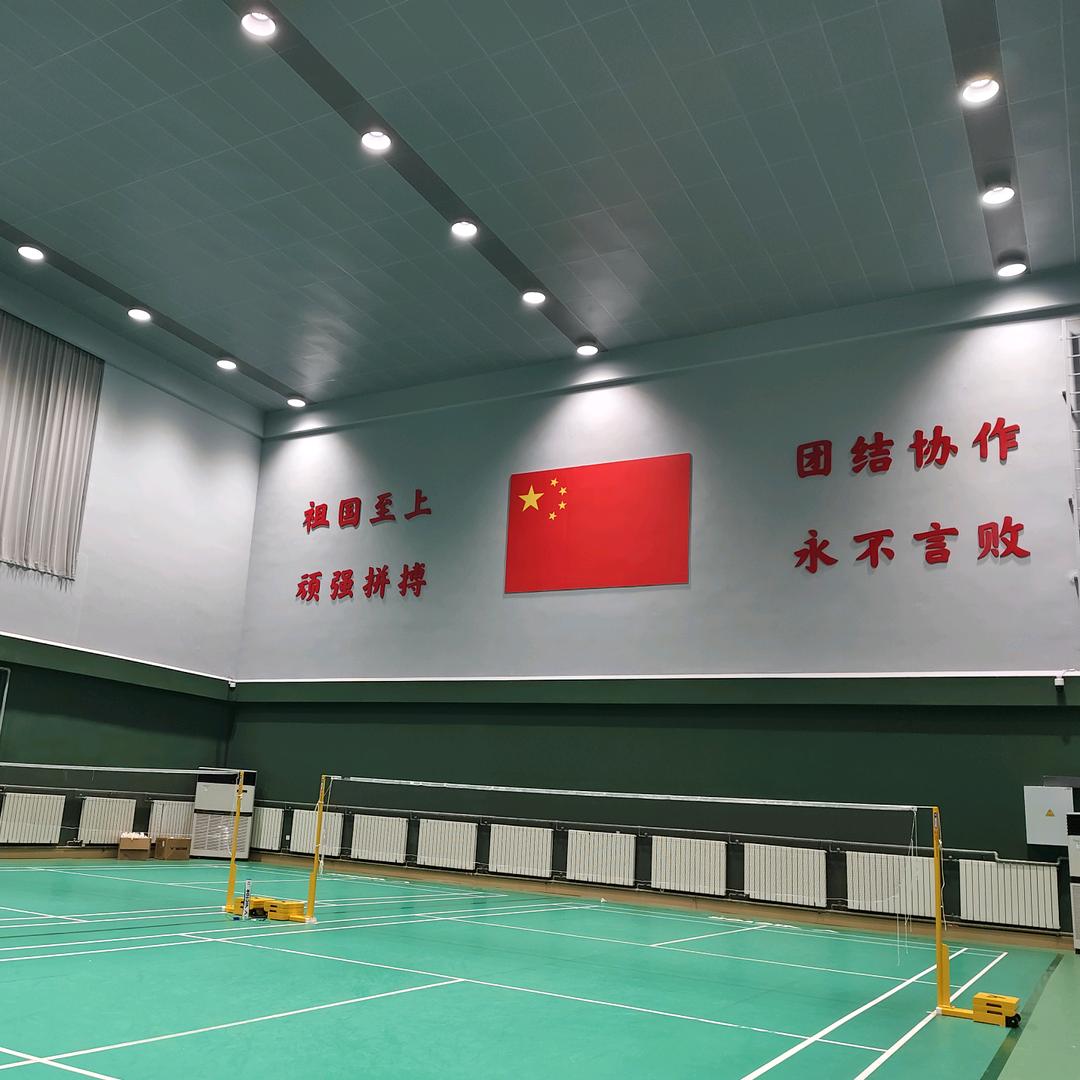 徐州市羽毛球队薛教练