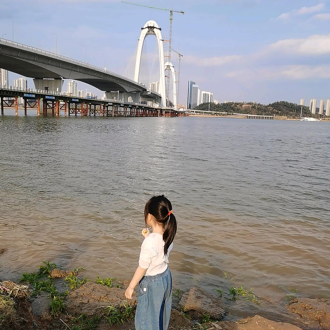 小芸豆