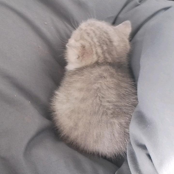 𝓨𝓷 .月光  👣