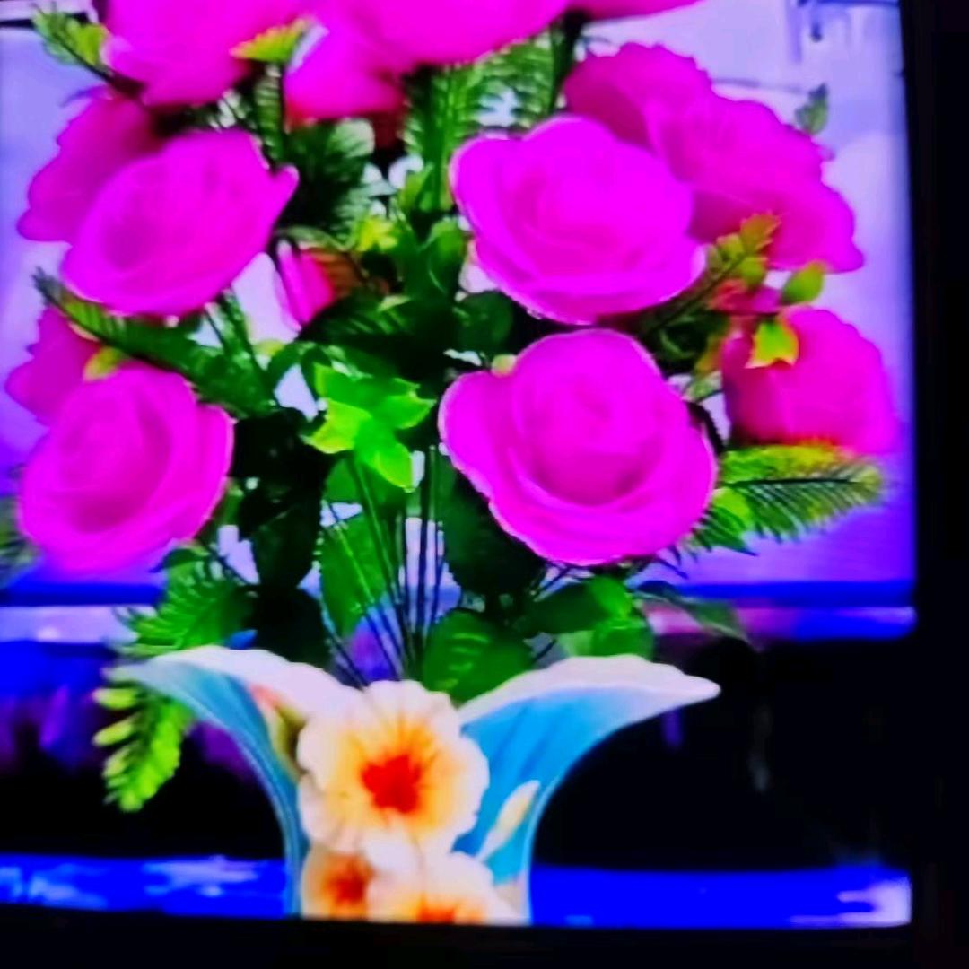 随缘🌹🌹🌹🌹