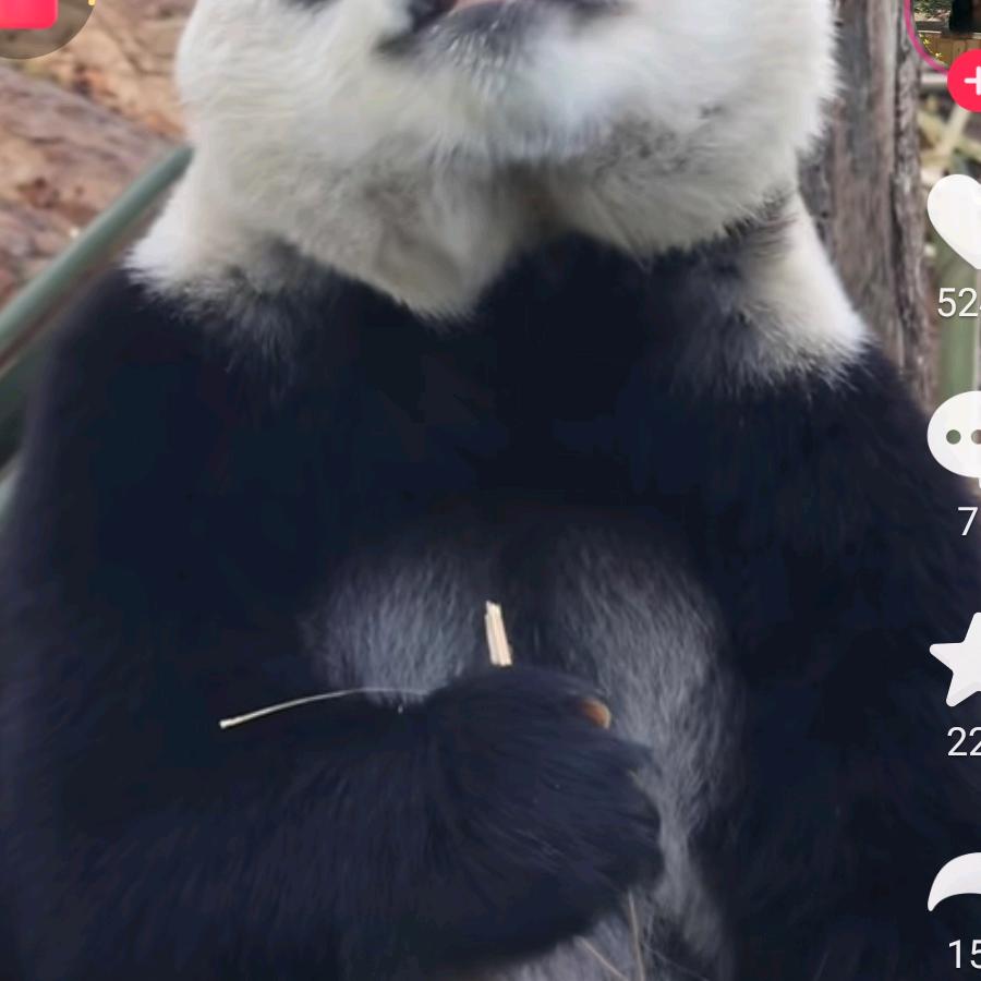 痛快不快乐