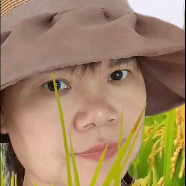 向卫群
