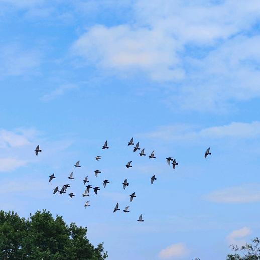 孤  狼😈⁵²⁴⁷