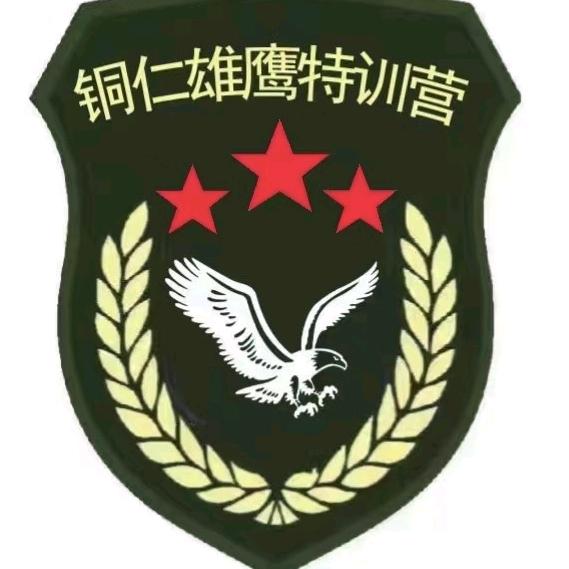 雄鹰✅