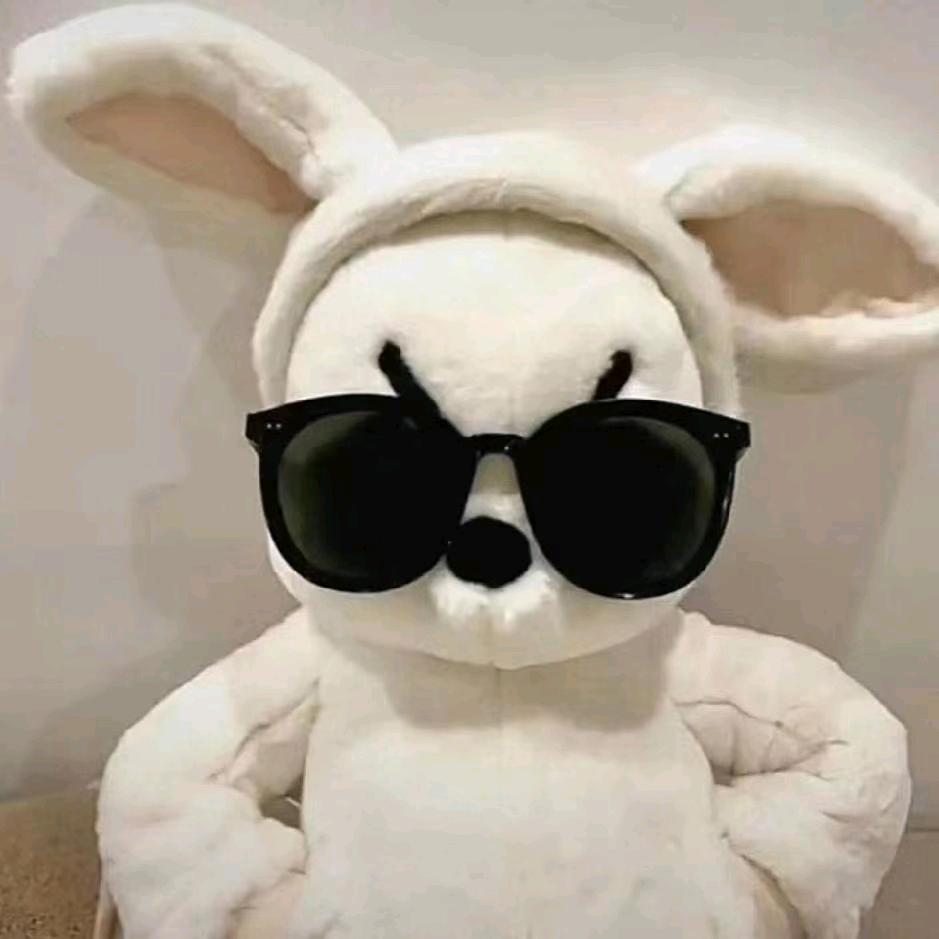 狂奔的小蜗牛