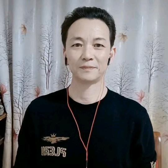 凯哥快乐小丑专业白蚁防治