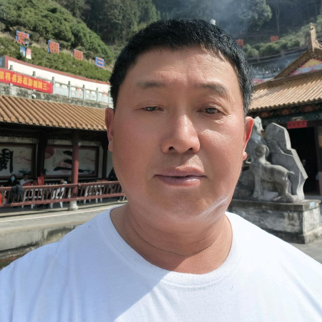 吴樟铭《凤下横林》