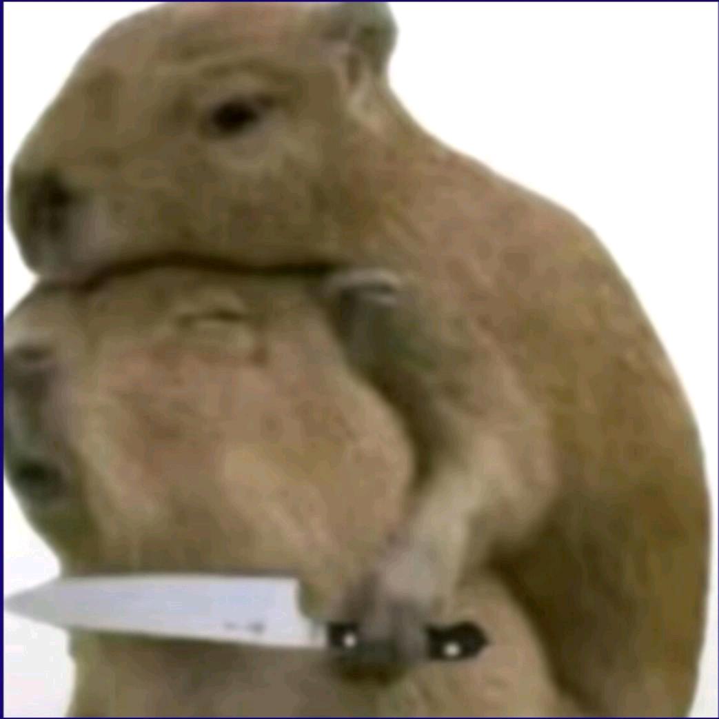 忧郁土拨鼠
