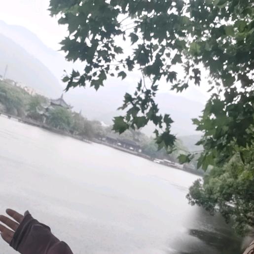 悟人生