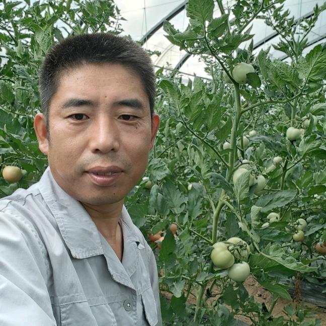 内丘县绿色家园采摘园