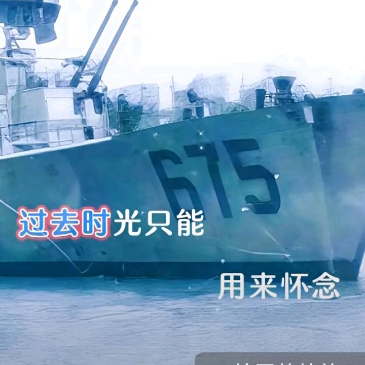 鱼多多…