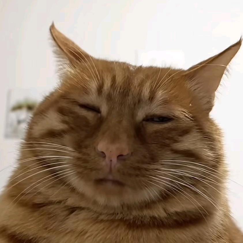 爱磕睡