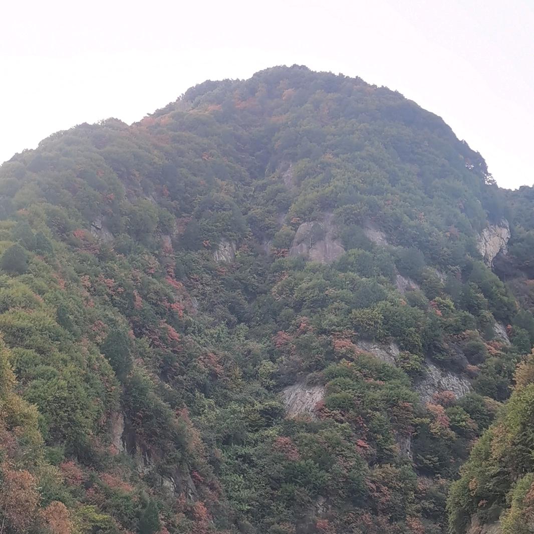 越来越好