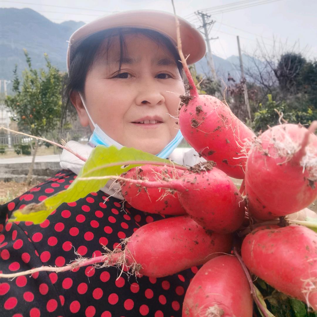 玉玉儿