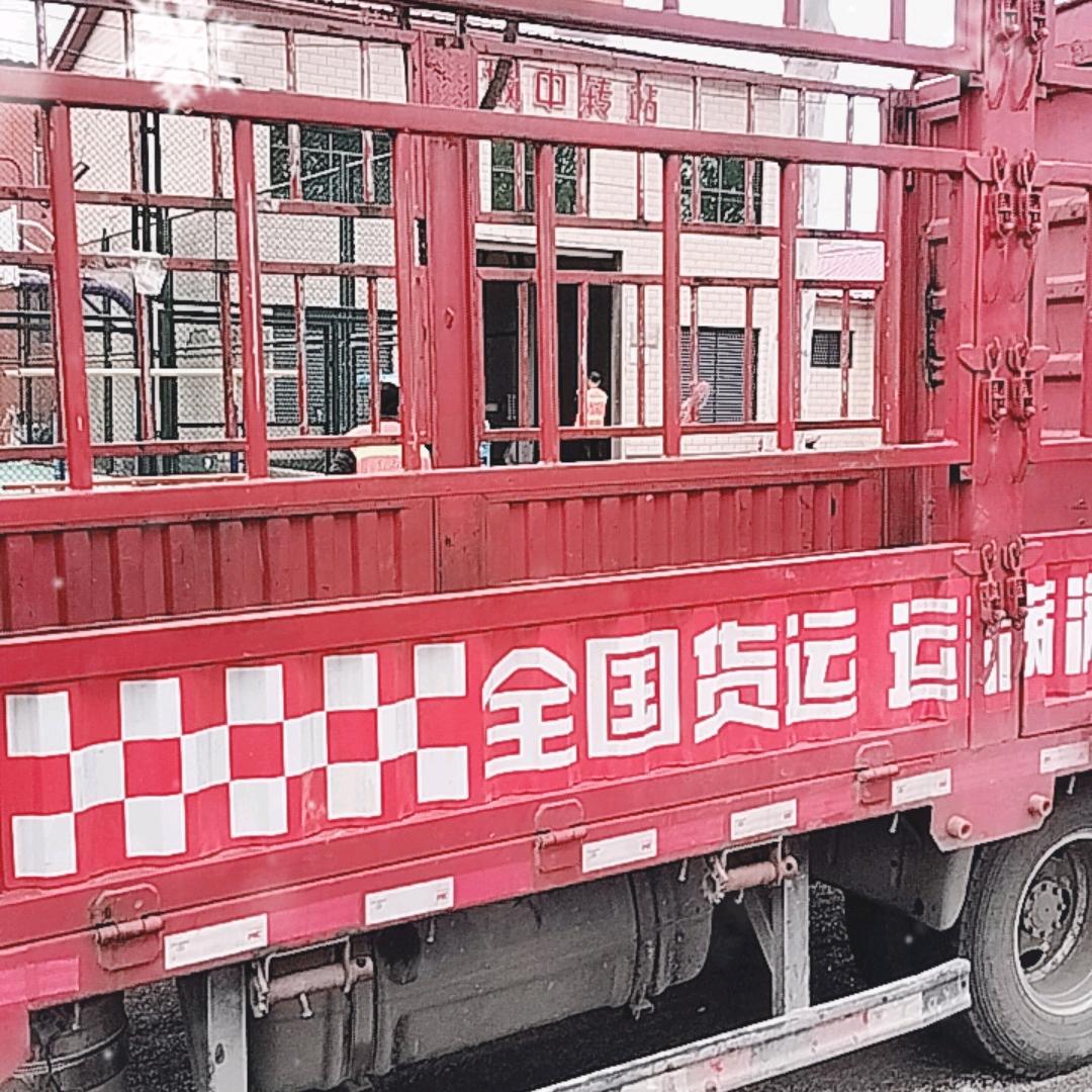 4米2，跑全国，杨