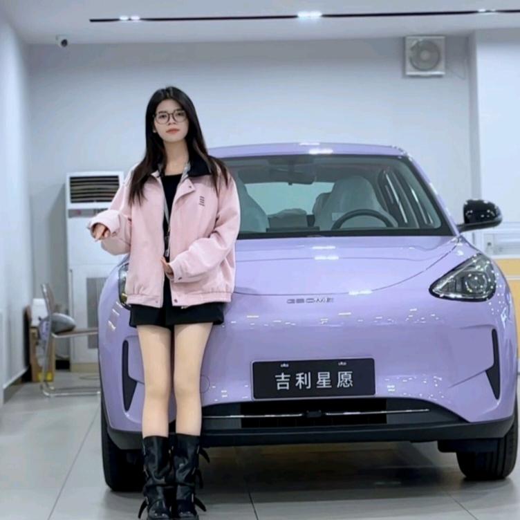 东莞石排吉利汽车总店