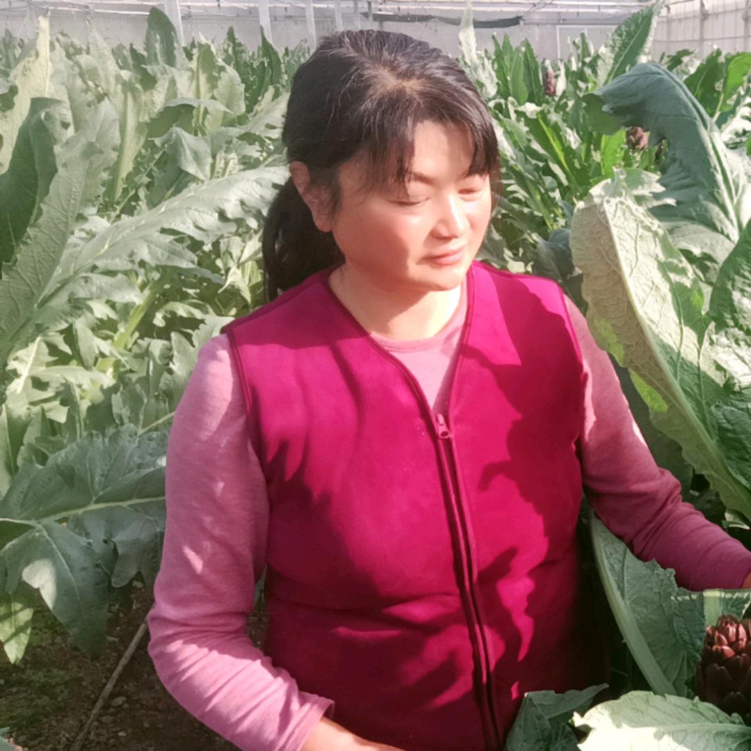 阿兰在种菜