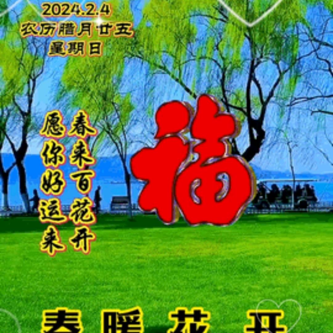 顾70387090