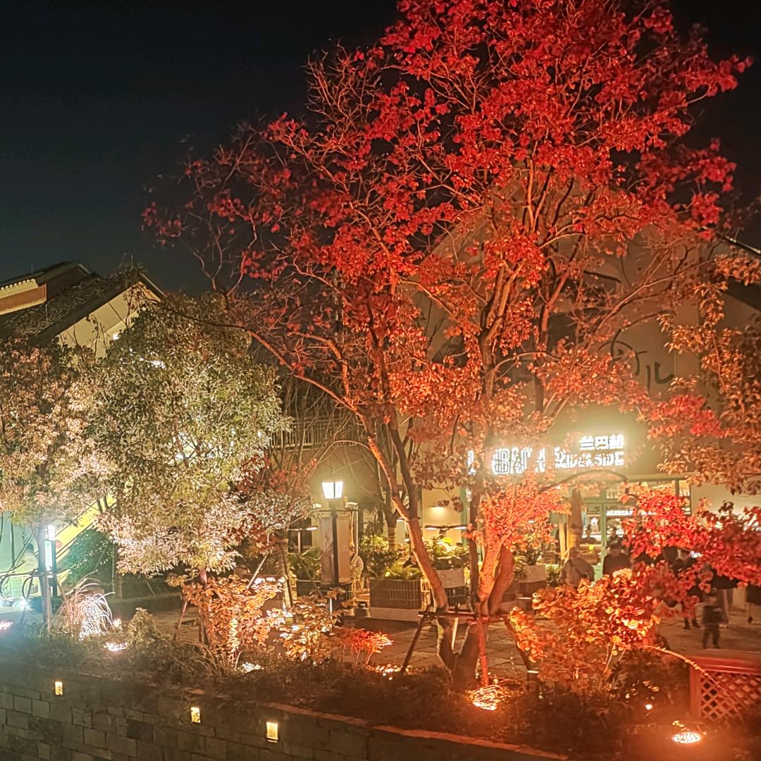 不懂夜的黑