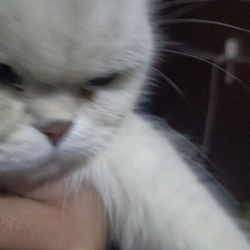 剧本杀小能手