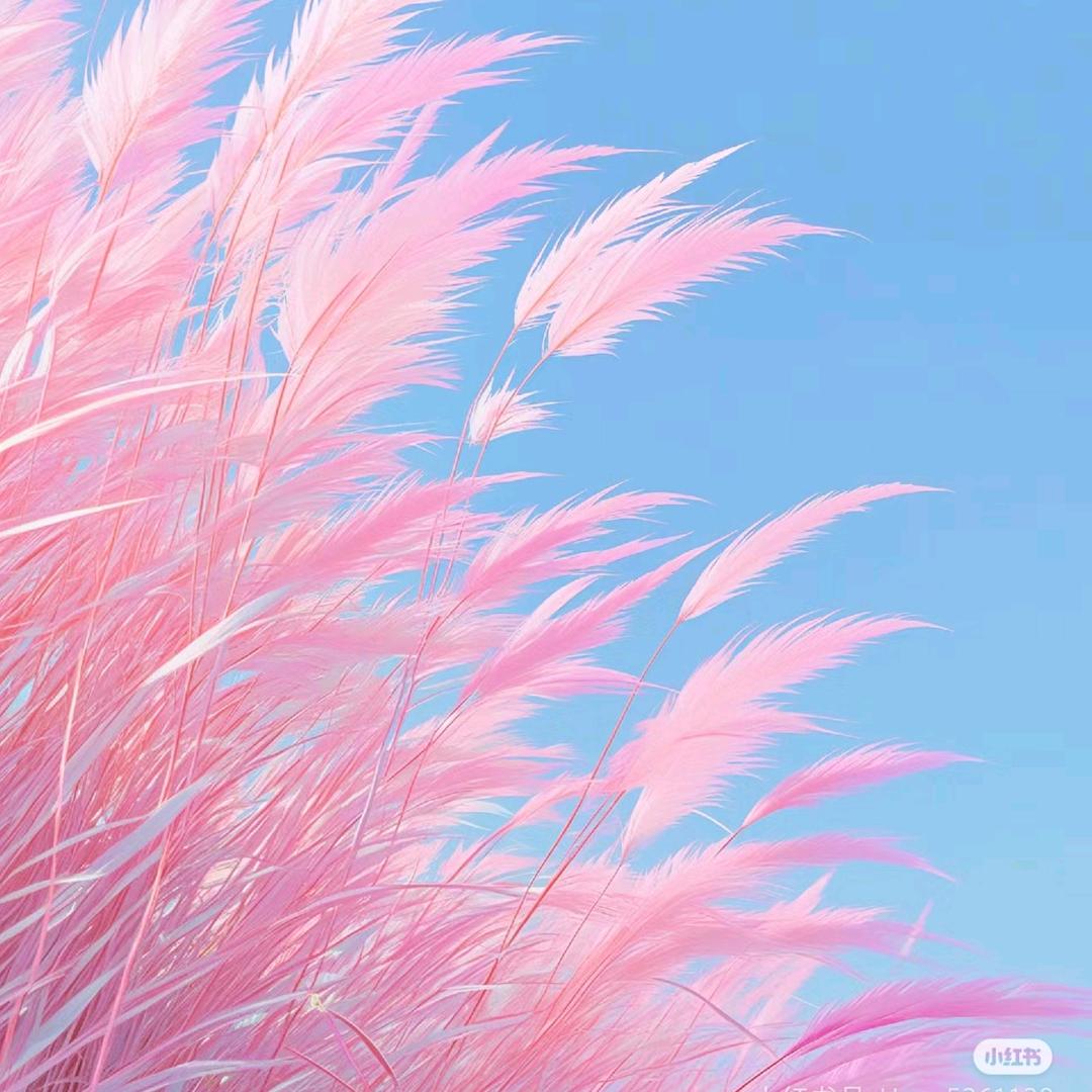 轻语美妆