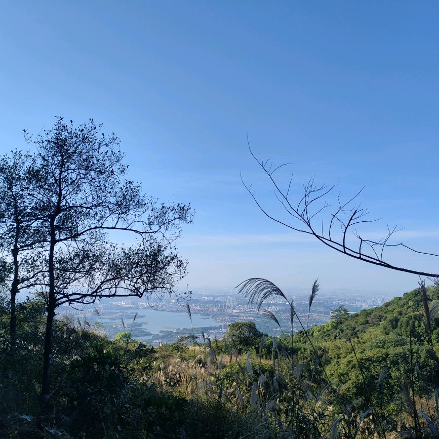 周周鲜肉烤肠｜香肠