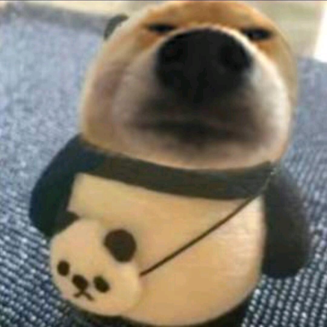 土豆🥔（接晋级赛补分）