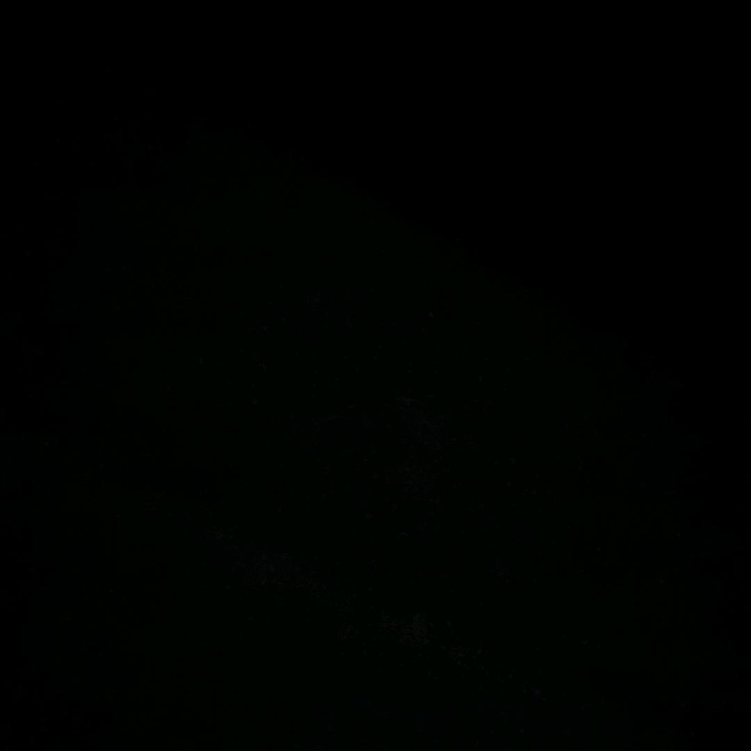 有你陪伴