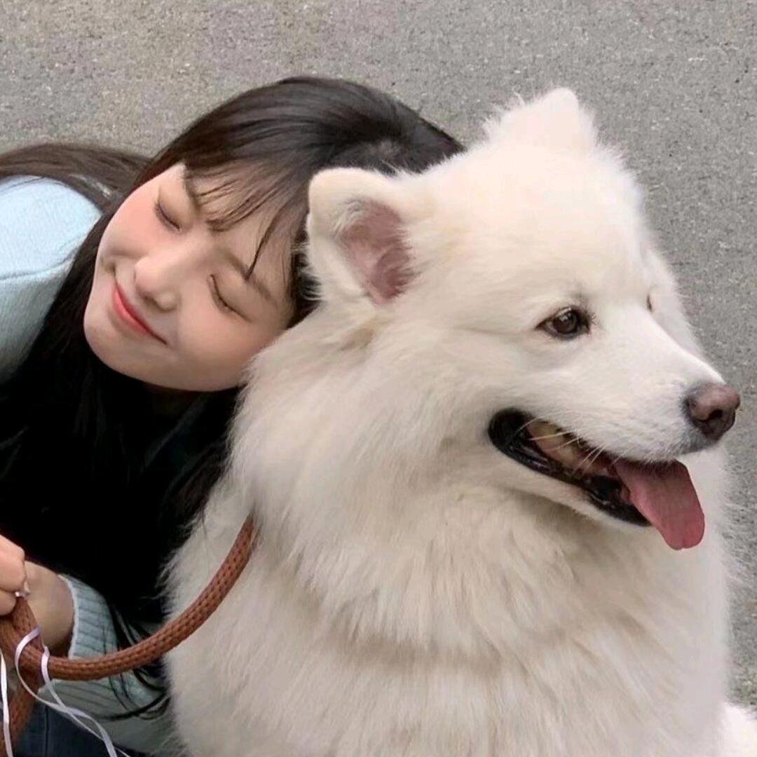 毛绒小暖屋