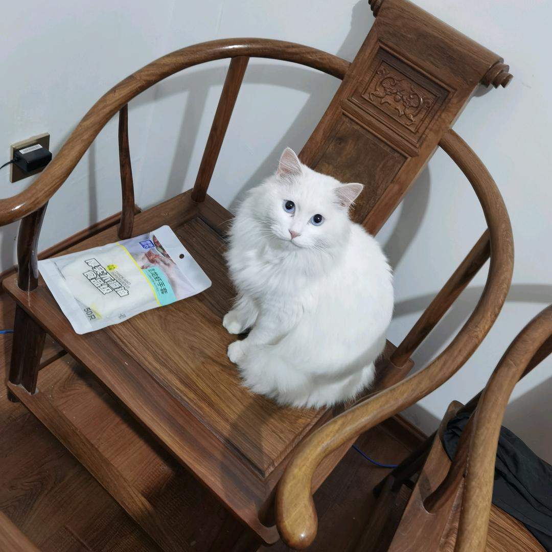 子卿