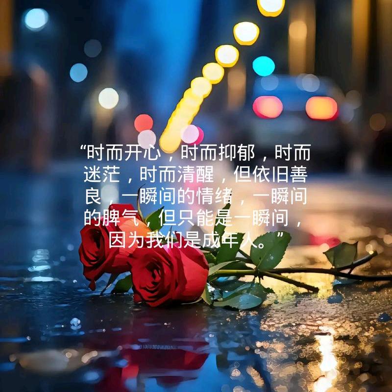 流泪的孤独何从何在