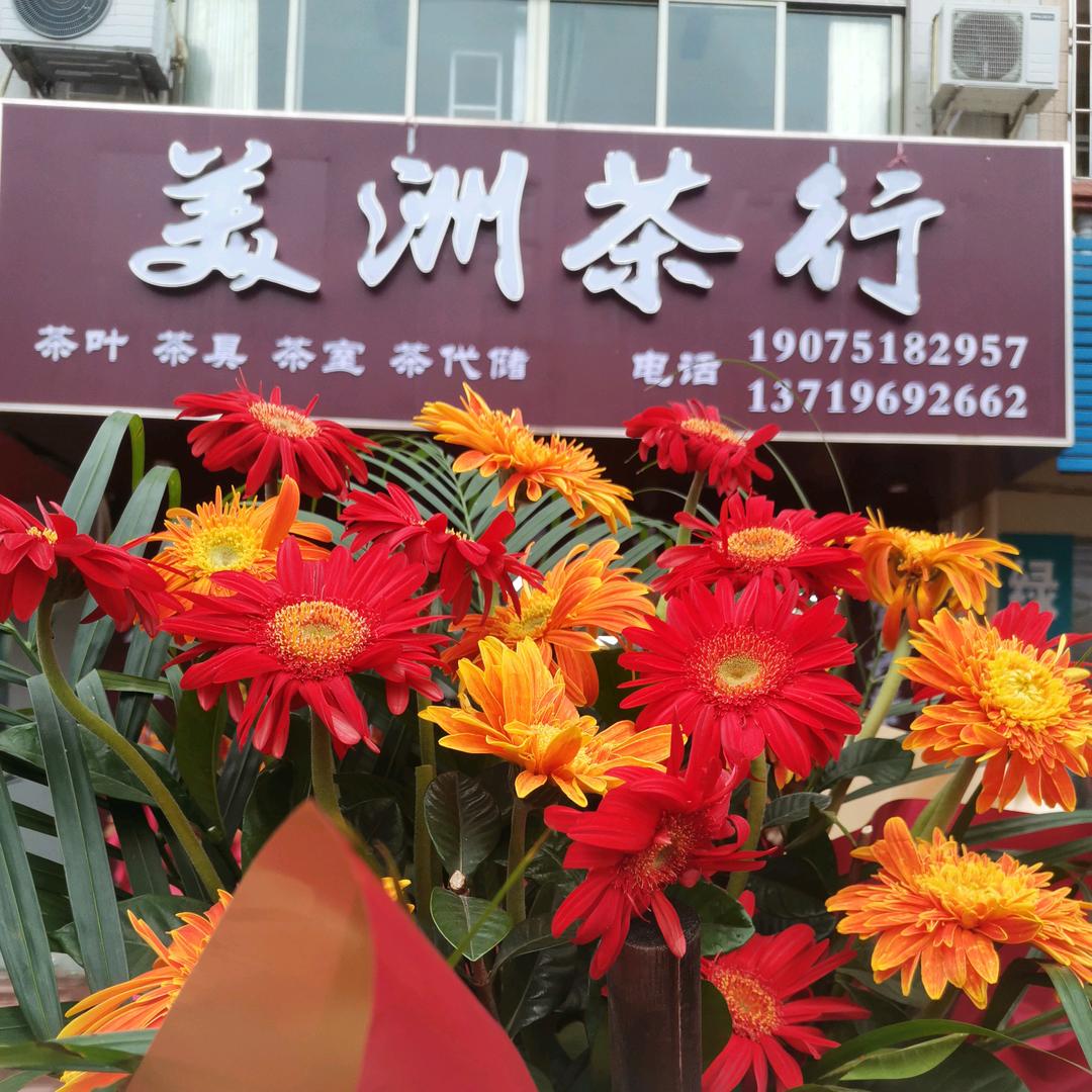 阳春美洲茶行～🌻