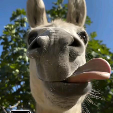 😇😇😇白衣酒客