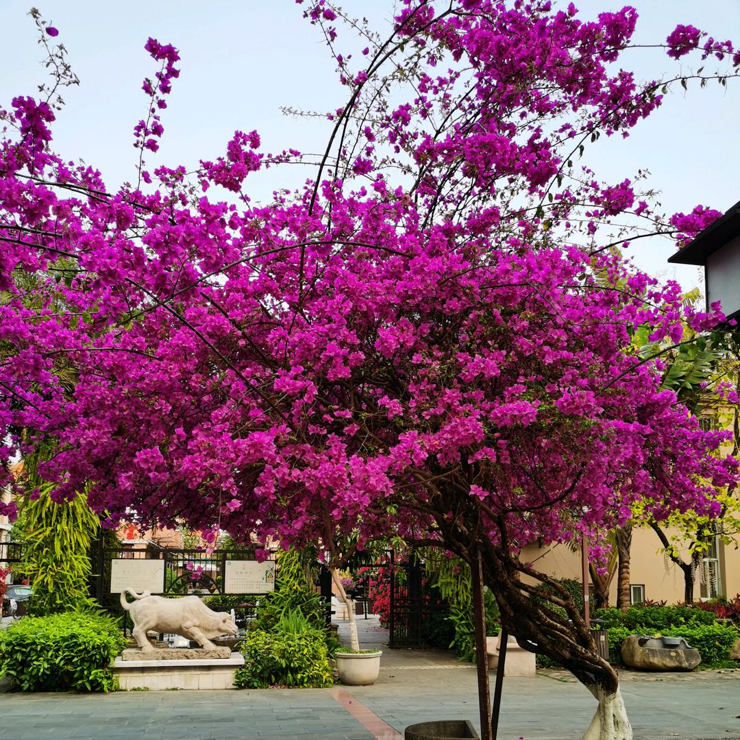 宁波北仑嘉歆贸易商行