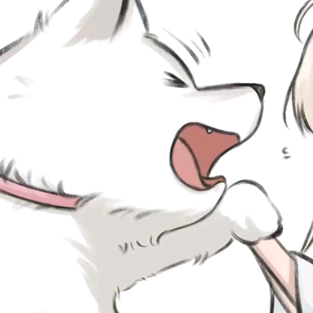 潮信🌙