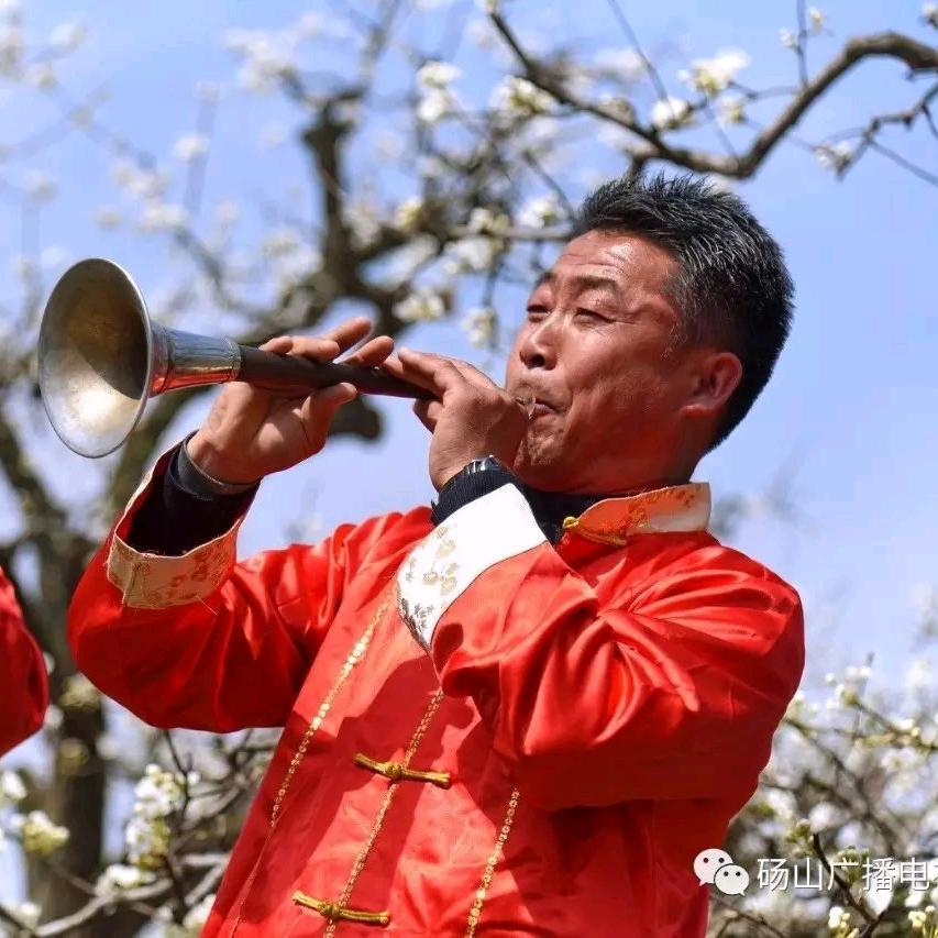 皖北唢呐王士轩