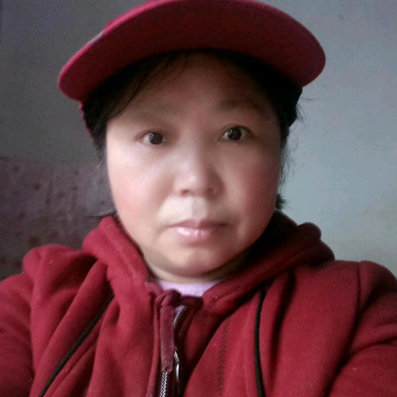 红梅盛开