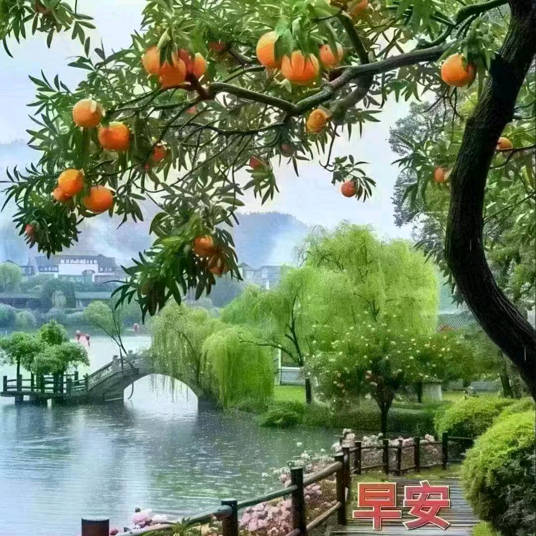 领头羊优选867