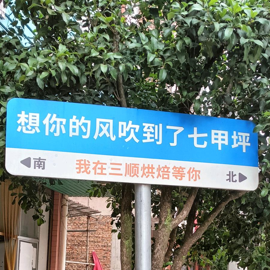 怀化湘N👑向 十 三
