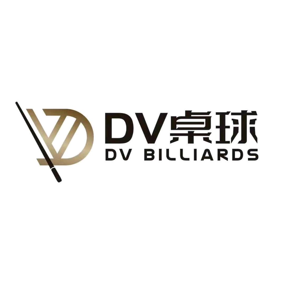 DV桌球(景德镇店)专用号