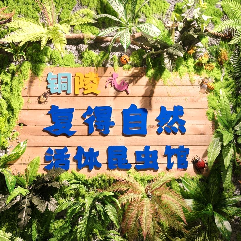 铜陵复得自然昆虫博物馆